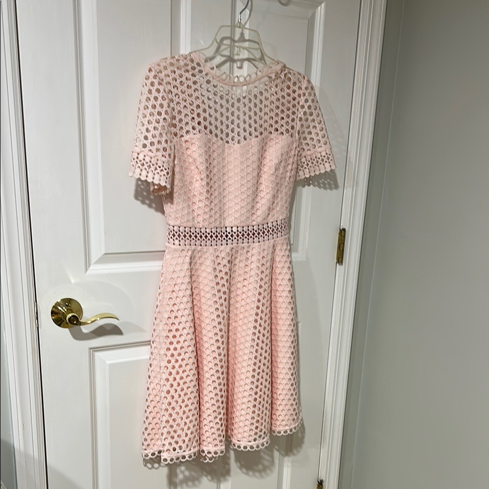 Ted Baker Pink Lace Short Sleeve Dress just in time for the Spring